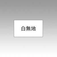 サトー PB-1用ラベル 白無地 強粘 10巻入 1 本 0-11-99900-2 文房具 オフィス 用品