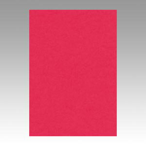 文運堂 色画用紙 ニューカラー 8切 ぼたんいろ 1 束 8NCR-325 文房具 オフィス 用品