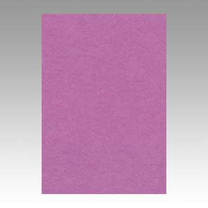 文運堂 色画用紙 ニューカラー 8切 あかむらさき 1 束 8NCR-231 文房具 オフィス 用品