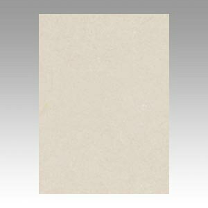 文運堂 色画用紙 ニューカラー 4切 あかるいはいいろ 1 束 4NCR-113 文房具 オフィス 用品【送料無料】
