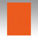 文運堂 色画用紙 ニューカラー 4切 しゅいろ 1 束 4NCR-235 文房具 オフィス 用品【送料無料】