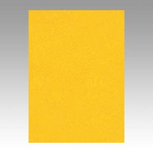 文運堂 色画用紙 ニューカラー 4切 みかん 1 束 4NCR-237 文房具 オフィス 用品【送料無料】