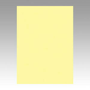 文運堂 色画用紙 ニューカラー 4切 ライトイエロー 1 束 4NCR-134 文房具 オフィス 用品【送料無料】