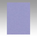 文運堂 色画用紙 ニューカラー 4切 ふじむらさき 1 束 4NCR-217 文房具 オフィス 用品【送料無料】
