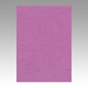 文運堂 色画用紙 ニューカラー 4切 あかむらさき 1 束 4NCR-231 文房具 オフィス 用品【送料無料】