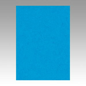 文運堂 色画用紙 ニューカラー 4切 うすあお 1 束 4NCR-216 文房具 オフィス 用品【送料無料】