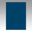 文運堂 色画用紙 ニューカラー 4切 あいいろ 1 束 4NCR-320 文房具 オフィス 用品【送料無料】