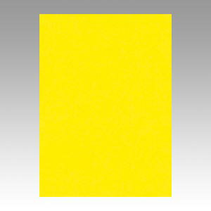 文運堂 色画用紙　ニューカラー10枚巻　レモン 10-319 1本