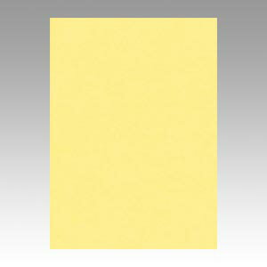 文運堂 色画用紙　ニューカラー10枚巻　クリーム 10-101 1本