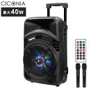 CICONIA トロリースピーカー CTX08BS 音楽 スピーカー 趣味(代引不可)【送料無料】