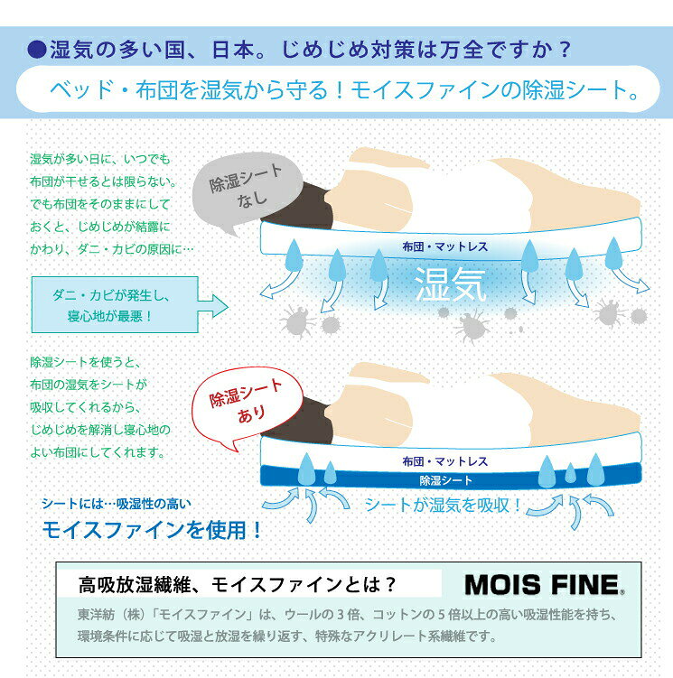 サンプル画像3