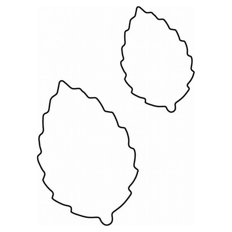 たかもり たかもりの生抜 2PC 木の葉 078005