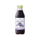 順造選 ブルーベリー100(500ml) 124407256【送料無料】