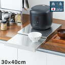 日本製 燕三条 家電下スライドテーブル 幅30×奥行40 置くだけ簡単 スライドトレー ステンレス製 作業スペース レンジ下 トレー 作業台 完成品(代引不可)【送料無料】