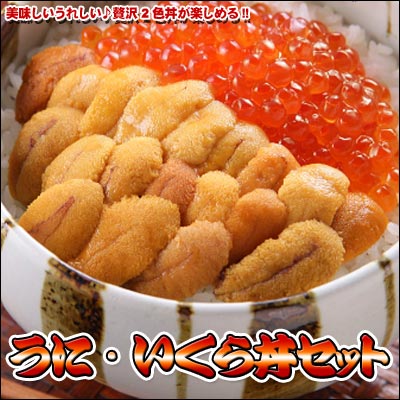 うに・いくら海鮮丼セット(代引き不可)【送料無料】