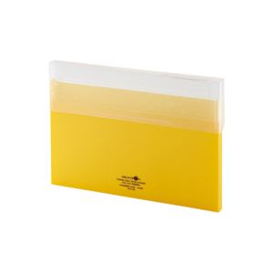 （まとめ）LIHITLAB コングレスケース薄型 A-5035-5 黄【×10セット】 (代引不可)