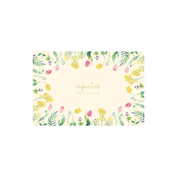 【5個セット】 CAPTAIN STAG アプリール ソフトクッション レジャーシート （約90×60cm） グロウ UT-1014