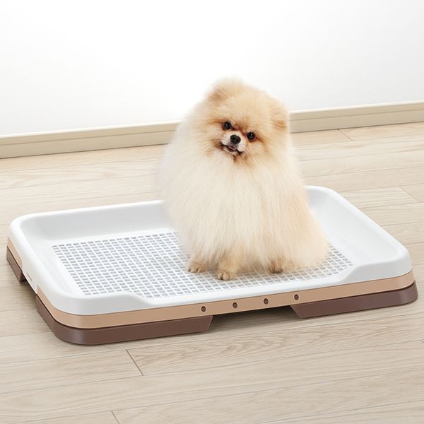 リコメン堂生活館のリッチェル お掃除簡単ステップトレー レギュラー IV犬用トイレトレー｜アングル2