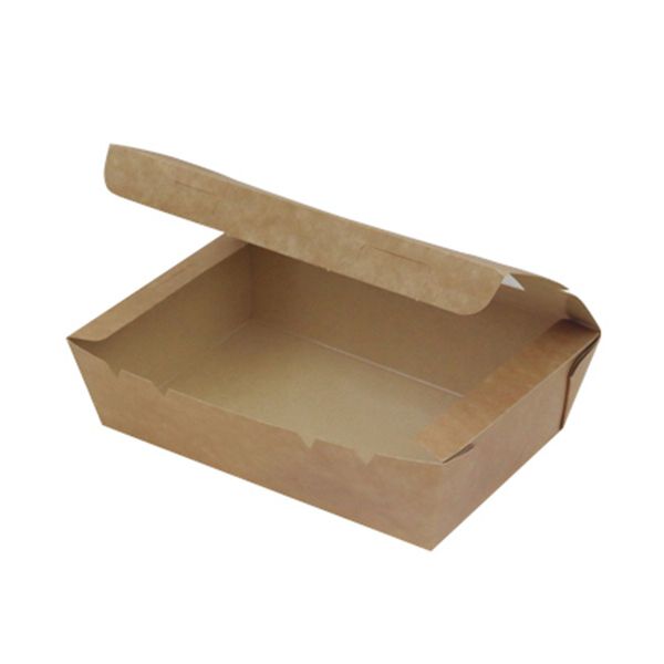 （まとめ） 水野産業 窓付きランチボックス （S） クラフト 03117 1パック（50個） 【×2セット】