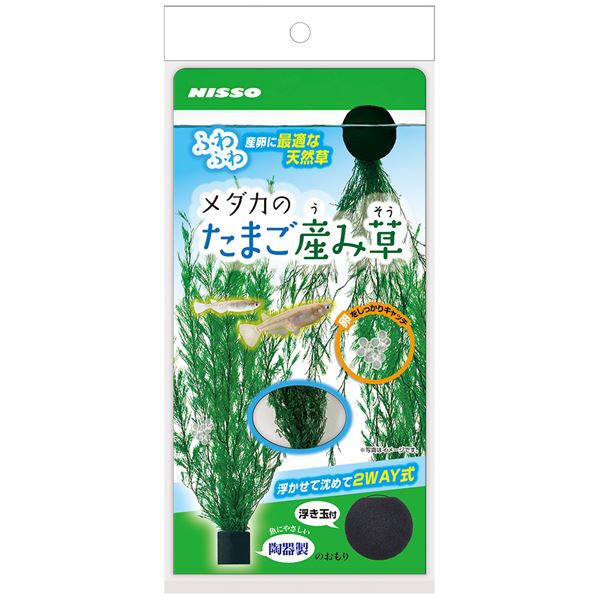 （まとめ）メダカのたまご産み草【×5セット】 (観賞魚/水槽用品)