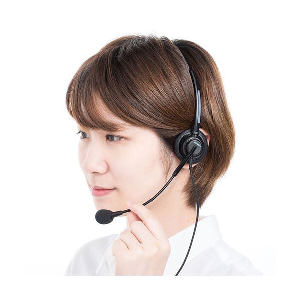 サンワサプライ ガイドシステム用ヘッドセット（オーバーヘッド型） MM-WGS4-HS2