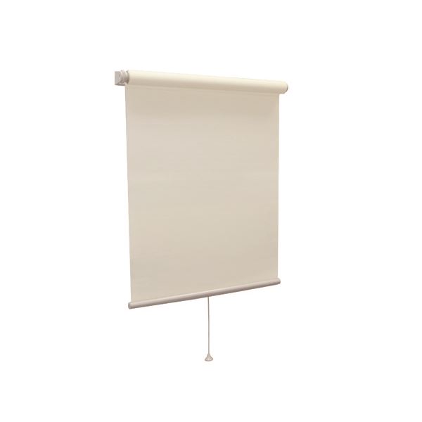 モダン ロールスクリーン 【無地防炎 60cm×135cm ココ】 日本製 巻取りスピード調整機能付き 『ティオリオ』 (代引不可)