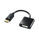 TTvC DisplayPort-DVIϊA_v^ AD-DPDVA01 (s)