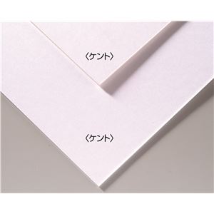 (まとめ)アーテック A＆B オリジナル 両面アートボード/イラストボード 【B4】 ECO素材 ケント 【×30セット】