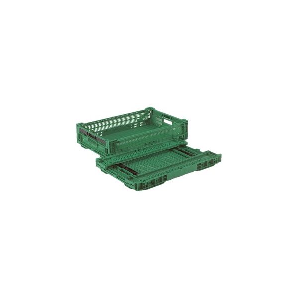 【5個セット】 折りたたみコンテナー/オリコン 【RS-MM24S】 グリーン 材質：PP ワンタッチ組立 (代引不可)