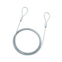 (まとめ)サンワサプライ eセキュリティ(ワイヤー、2.0m・3.5mm) SLE-1W-2【×10セット】 (代引不可)