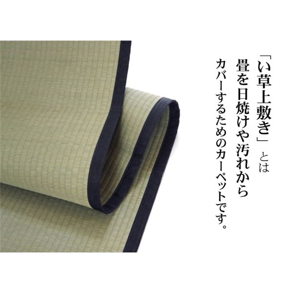 い草 上敷き/ラグマット 【麻綿織 江戸間8畳 約352×352cm】 抗菌 防臭 調湿 消臭 日本製 熊本県八代産イ草使用 〔リビング〕【代引不可】 [3]