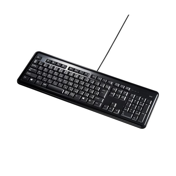 English Keyboard - サンワサプライ USBハブ付キーボード SKB-SL21UHBK (代引不可)
