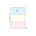 (まとめ) ヒサゴ マルチプリンタ帳票 A4判3面 カラータイプ FSC2012 100枚入 【×2セット】 (代引不可)(2)