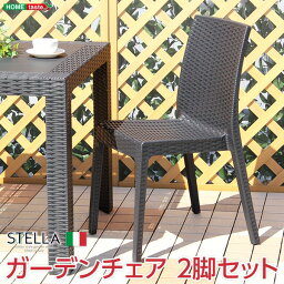 ガーデン チェア スタッキングチェア 〔2脚セット ブラック〕 幅約46cm 洗える プラスチック 軽量 完成品 ガーデン用品 ガーデンファーニチャー 椅子 いす イス パーソナルチェア テラス 庭 店舗 お店 什器 ディスプレイ【代引不可】