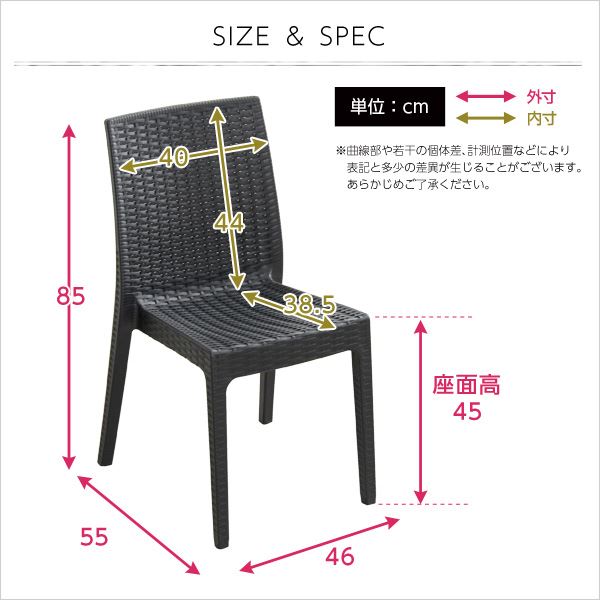 ガーデン チェア スタッキングチェア 〔2脚セット ブラック〕 幅約46cm 洗える プ...
