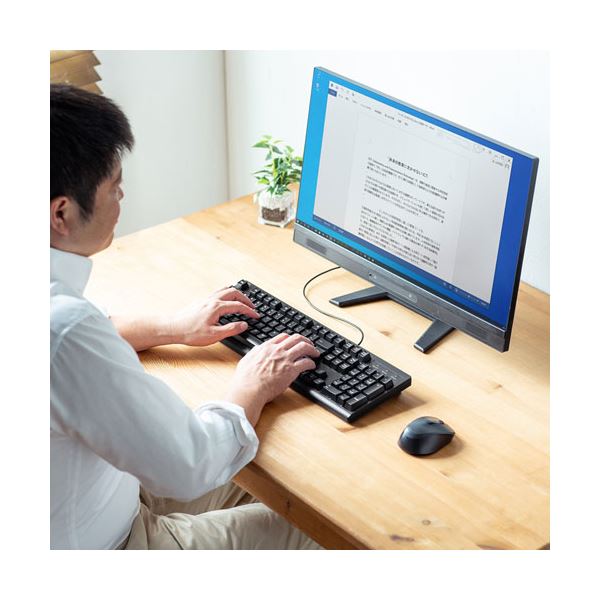 リコメン堂生活館のサンワサプライ 英語USBキーボード SKB-E5UBK｜アングル2