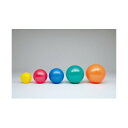 (まとめ)DLM ボディーボール65cm 青 H7262【×2セット】