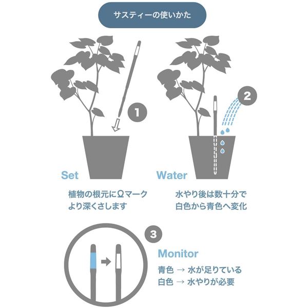 （まとめ）キャビノチェ SUSTEE（サスティー） 水やりチェッカー シングルパック M グリーン【×5セット】 (代引不可) 3