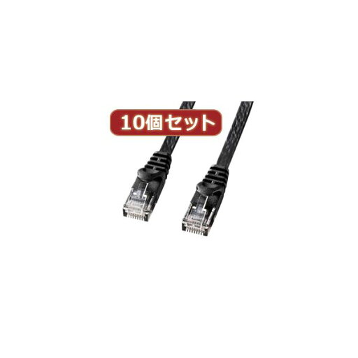 10個セットサンワサプライ カテゴリ6フラットLANケーブル LA-FL6-02BKX10 (代引不可) 10個セットサンワサプライ カテゴリ6フラットLANケーブル LA-FL6-02BKX10 (代引不可)