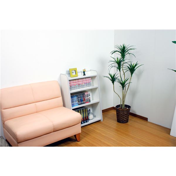 子供用 ブックシェルフ/本棚 【幅93.3cm レッド】 日本製 高耐久性 知育家具 EVAキッズシリーズ ほんだな 【完成品】 (代引不可) [3]