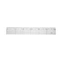 (まとめ) ライオン事務器 ハイカットスケール30cm HC-30 1個 【×10セット】 (代引不可)