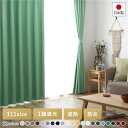1級遮光 防炎 ドレープカーテン/遮光カーテン 【幅200×丈100cm 1枚入り グリーン】 洗える 無地 日本製 タッセル付き 受注生産(3)