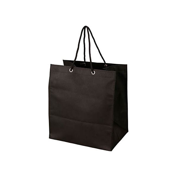 （まとめ） TRUSCO 不織布バッグ 黒315×355×275mm TNFB-10-X 1パック（10枚） 【×2セット】 (代引不可)