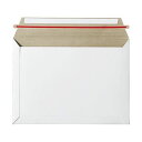 (まとめ)TANOSEE ビジネス封筒開封テープあり 340×250mm 300g/m2 1ケース(100枚)【×5セット】 (代引不可)