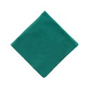 ケンコー・トキナー クリーニング用品 LUCINAGE カメラレンズクロス 27×27cm エメラルド 日本製 KCA-LGEM KEN890974 (代引不可...