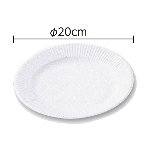 (まとめ)工作用紙皿 大(200φmm 10枚組)【×10セット】 (代引不可)