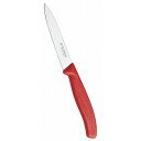ビクトリノックス ペティーナイフ RD 6.7701E 10cm(代引不可)【送料無料】