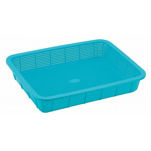 ■商品説明■直径・サイズ300×225×H55■深さ■重さ120g■容量【代引きについて】こちらの商品は、代引きでの出荷は受け付けておりません。【送料について】北海道、四国、九州は送料を頂きます。【配送について】沖縄、離島は配送できません。...