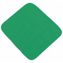 マイクロファイバークロス グリーン(代引不可)【送料無料】