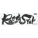 シャプトン セラミック砥石 ロックスター 中砥 #500 砥石・庖丁差し 砥石(代引不可)【送料無料】